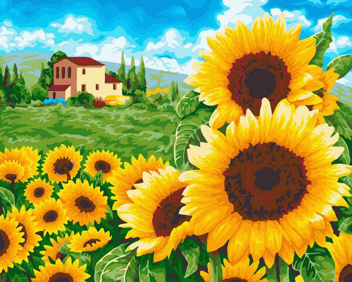 Картина по номерам Rainbow Art Пышные подсолнухи 40x50 см без коробки (BK-GX39003)