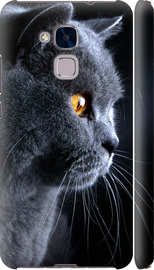 Чехол на Huawei Honor 5C Красивый кот (3038c-356-42517)