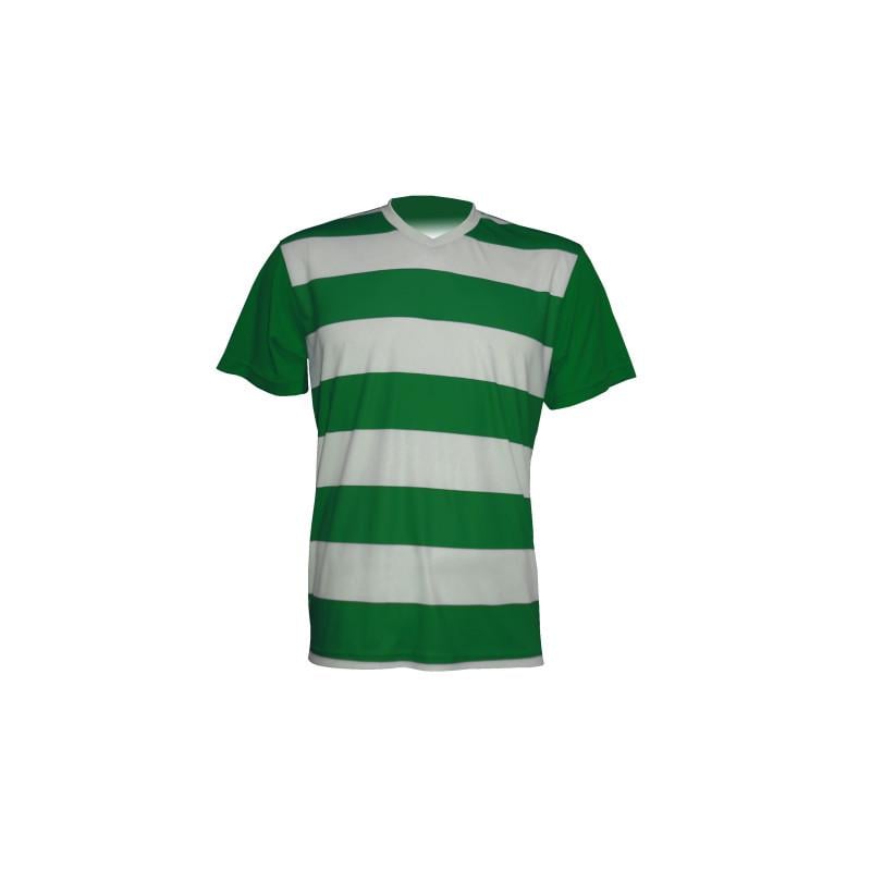 Футбольная форма JHK CELTIC KID 5/6 Бело-зеленый (WH/GR) Футбольная форма JHK CELTIC KID 5/6 Бело-зеленый (WH/GR)