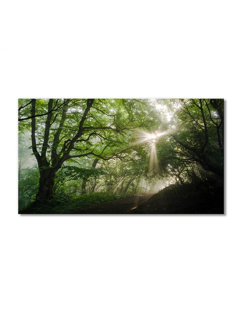 Картина модульная Солнечный свет проходит сквозь зеленые листья в лесу 1 модуль 70x105 см (134909Pejzazh0006)