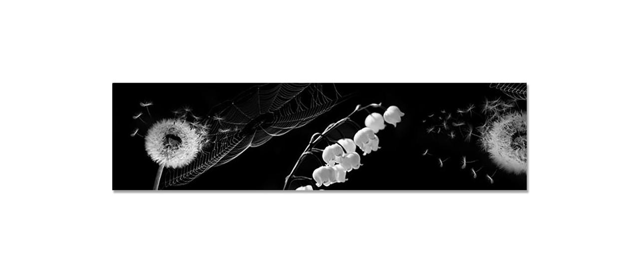 Наклейка виниловая на кухню Zatarga Одуванчик/Ландыш 650х2500 мм (1289776855)