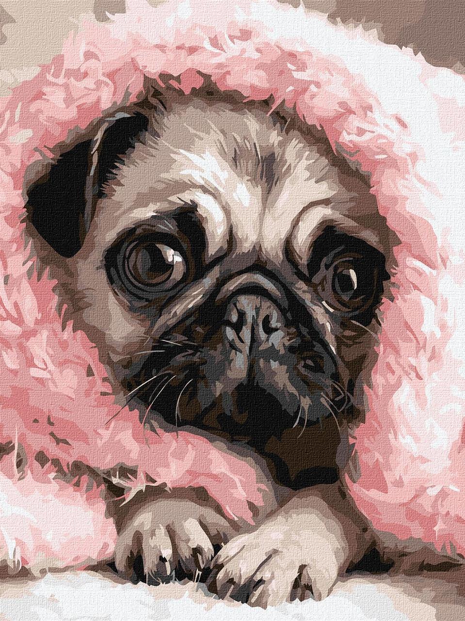 Картина за номерами Ideyka Закутаний Мопс 30х40 см (2847123870) Картина за номерами Ideyka Закутаний Мопс 30х40 см (2847123870)