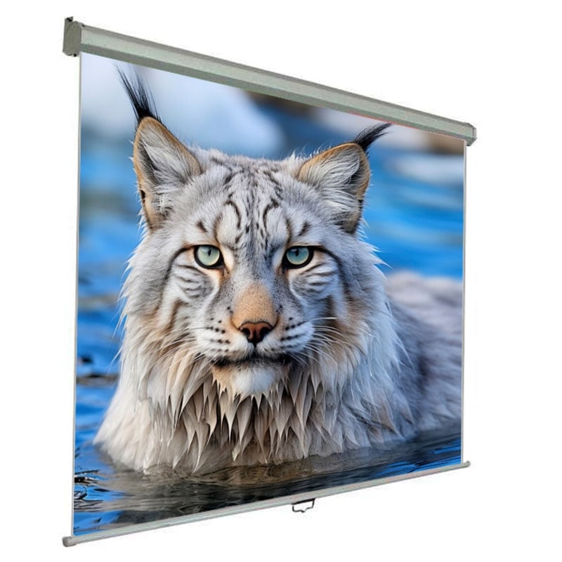 Экран проекционный Walfix SNM-5 настенный потолочный 150" 300x225 см 4:3 (tf539)