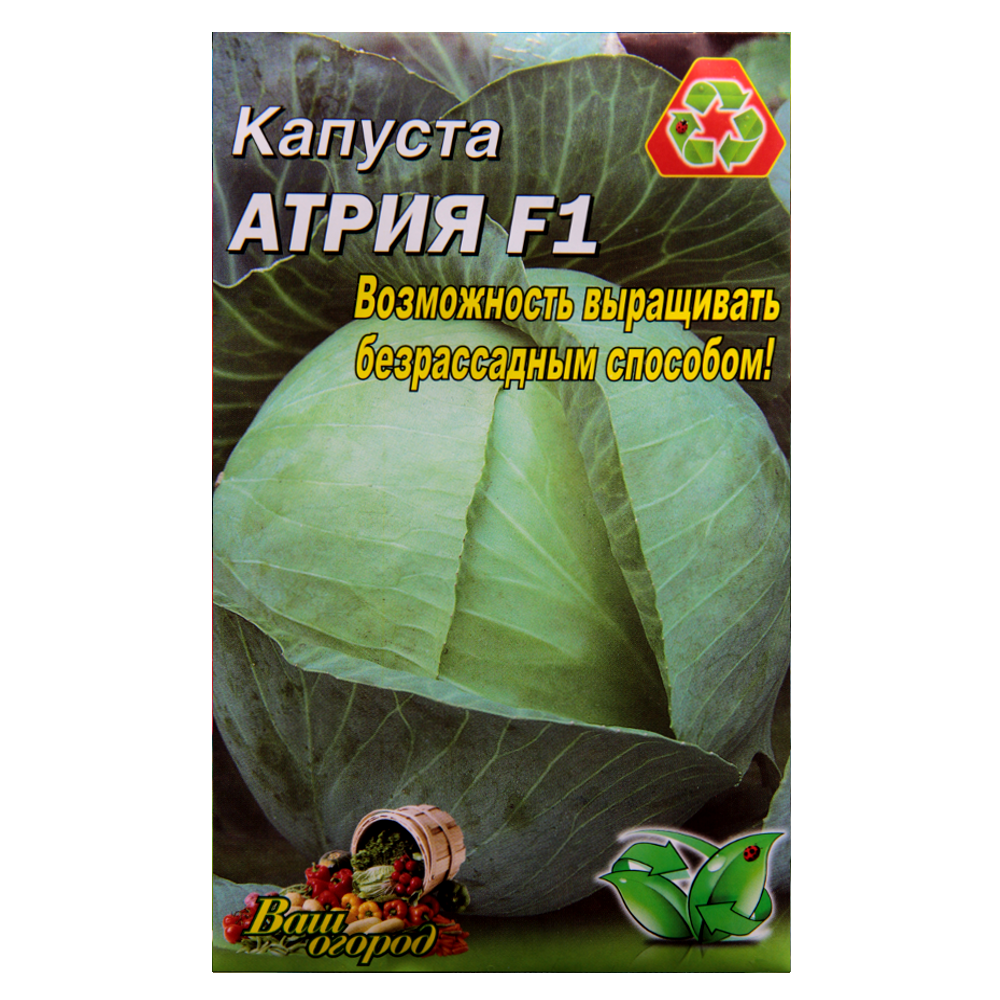 Семена капусты Атрия F1 поздняя 5 г (23181)