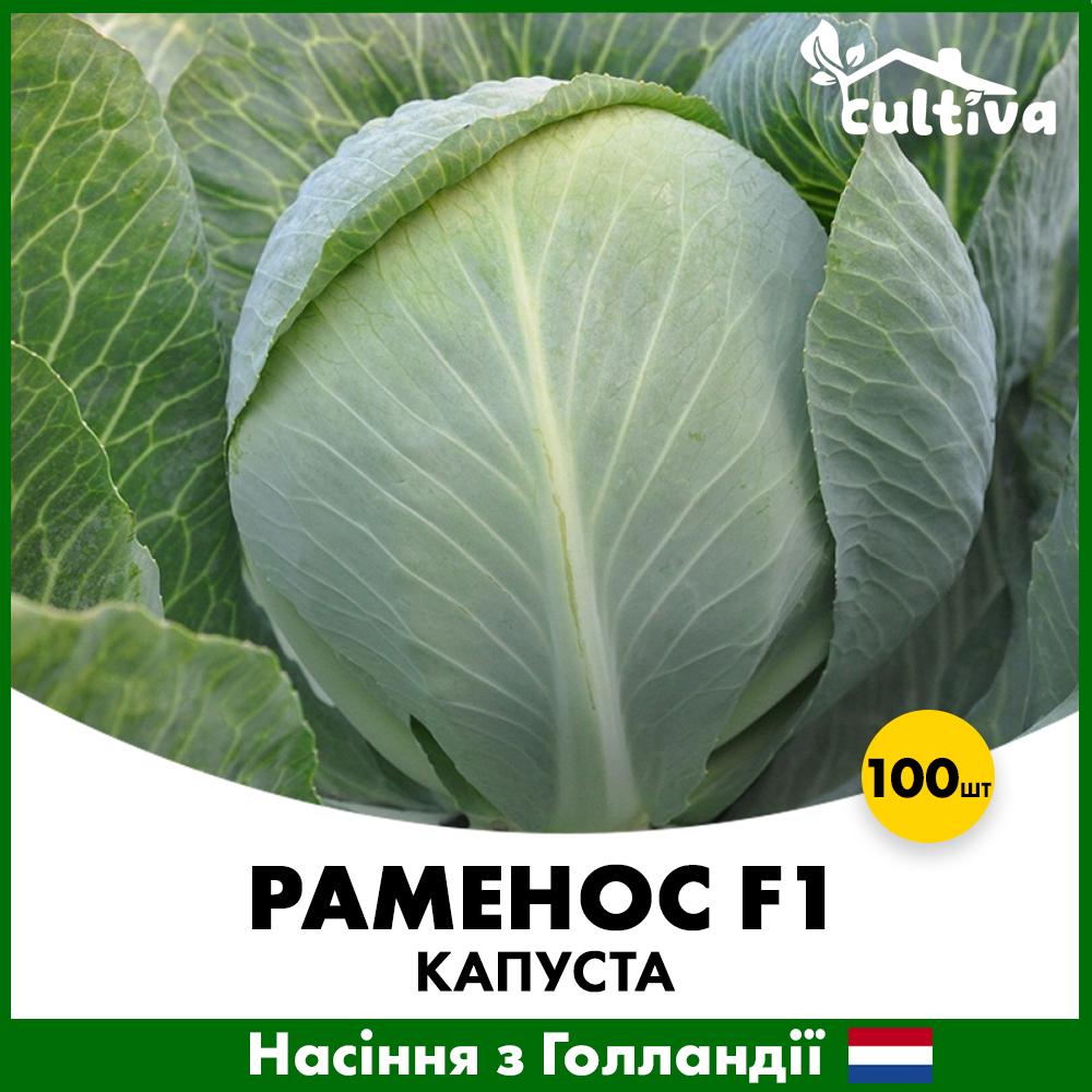 Семена капусты Hazera Белоголова Раменос F1 100 шт. (00156100)