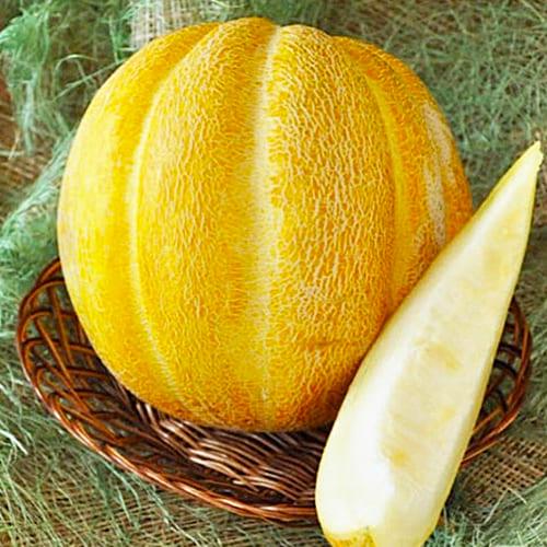 Семена Диня Florium Ефіопка (9146)