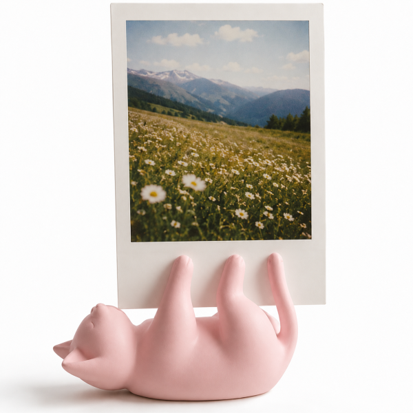 Фоторамка Котик для фото моментальной печати Instax/Polaroid Розовый (36260357) Фоторамка Котик для фото моментальной печати Instax/Polaroid Розовый (36260357)