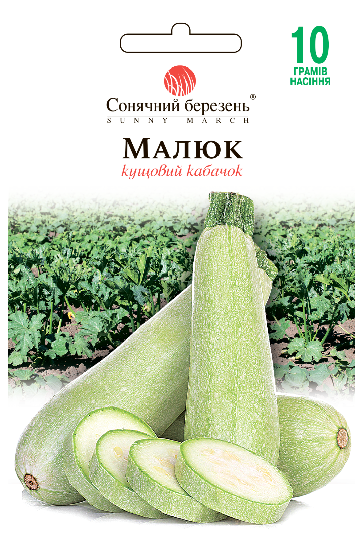 Насіння овочів Гарбузове насіння Малюк (8606)