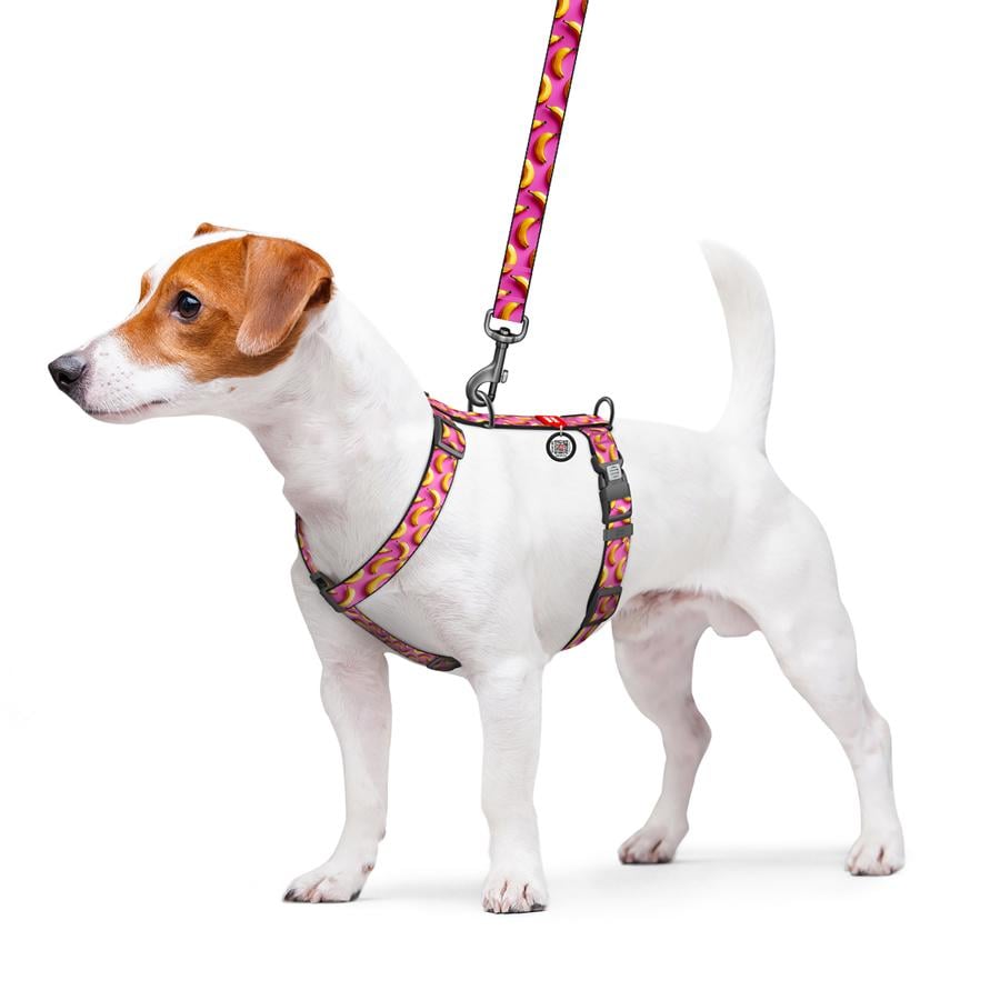 Шлейка для собак с QR-паспортом Waudog Nylon Бананы анатомическая H-образная с пластиковым фастексом S 15 мм A 30-45 см/B 36-45 см Pink (343-4055) - фото 3 Шлейка для собак с QR-паспортом Waudog Nylon Бананы анатомическая H-образная с пластиковым фастексом S 15 мм A 30-45 см/B 36-45 см Pink (343-4055) - фото 3
