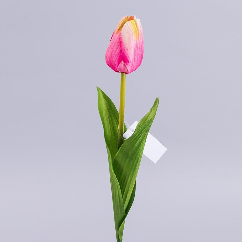 Тюльпан пирамидкаодинарный Красный (2263-2)