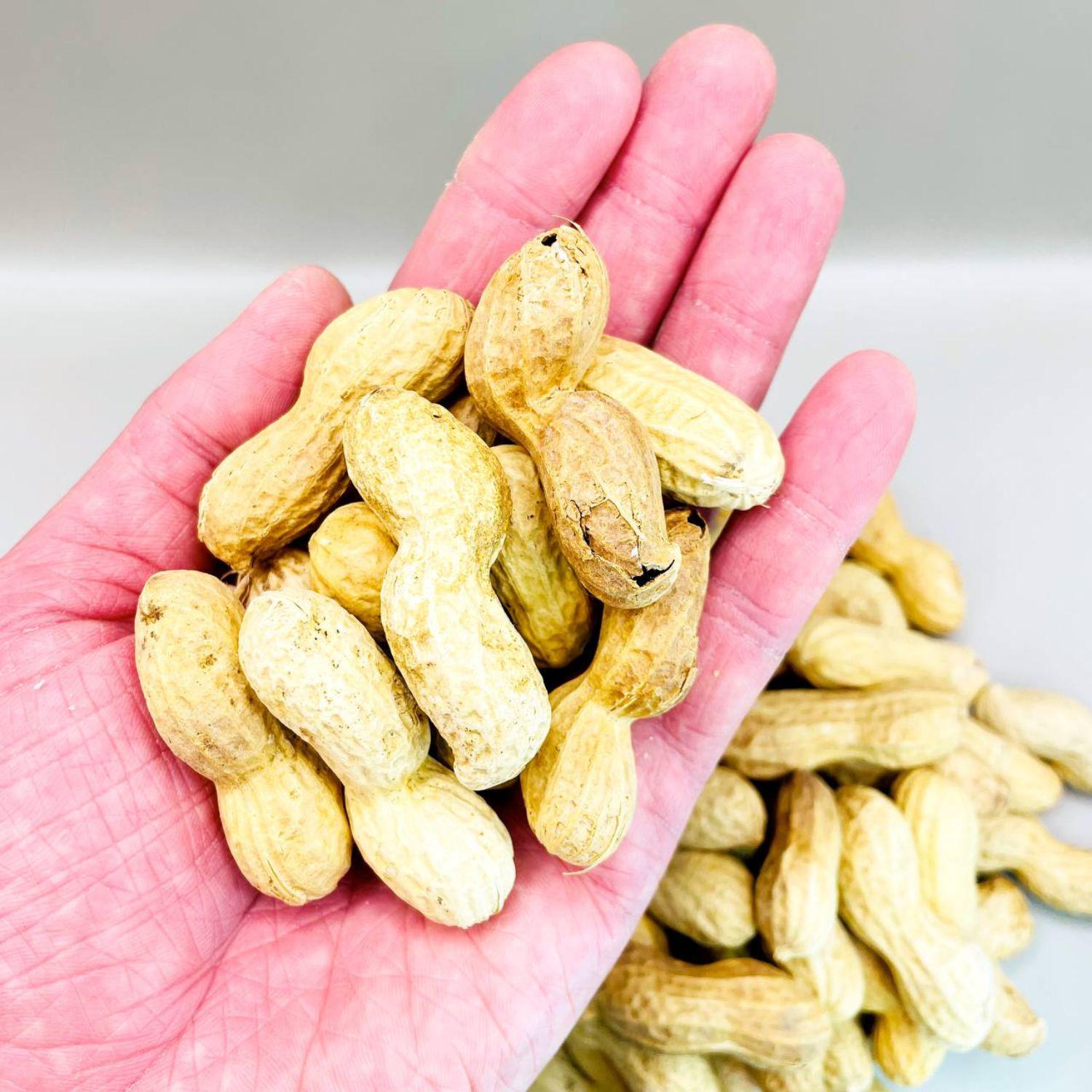 Арахіс сирий Peanut shell у шкаралупі без солі 1 кг (Pea-shell-А-1000) - фото 5