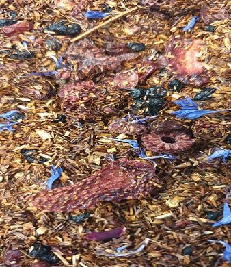 Чай ягідний розсипний Trevi Ройбуш 50 г (770048) - фото 3