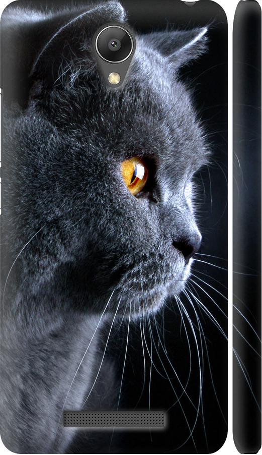 Чехол на Xiaomi Redmi Note 2 Красивый кот (3038m-96-42517)