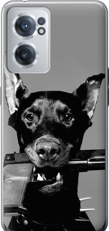 Чехол на OnePlus Nord CE 2 Доберман (2745u-2589-42517)