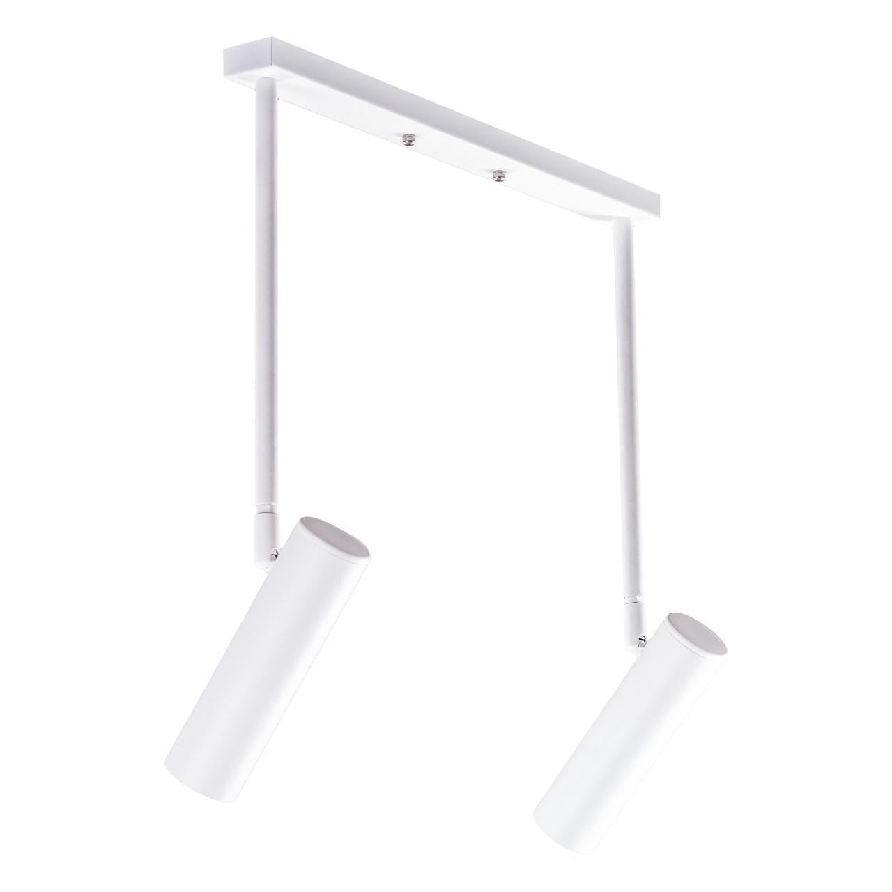 Світильник стельовий Pelikan С180-2 2хЕ27 White (1021212)