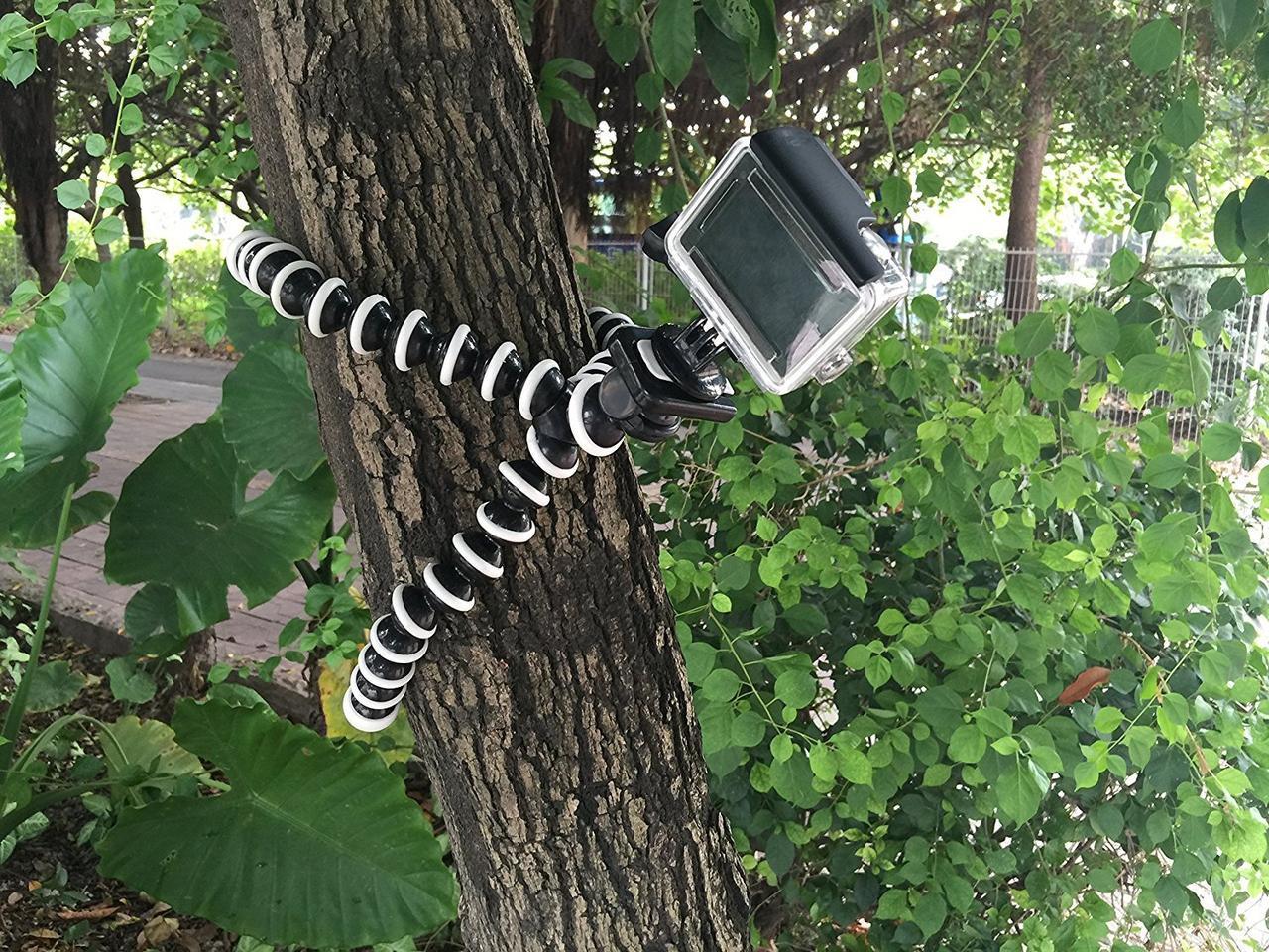 Гнучкий штатив-трипод Alitek Восьминіг M для телефону/GoPro/камери/фотоапарата - фото 10 Гнучкий штатив-трипод Alitek Восьминіг M для телефону/GoPro/камери/фотоапарата - фото 10