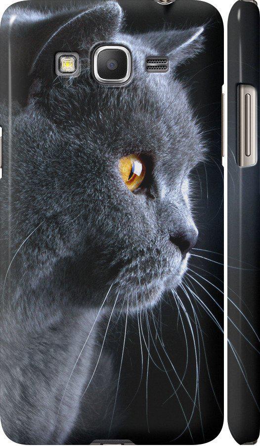 Чехол на Samsung Galaxy J2 Prime Красивый кот (3038m-466-42517)