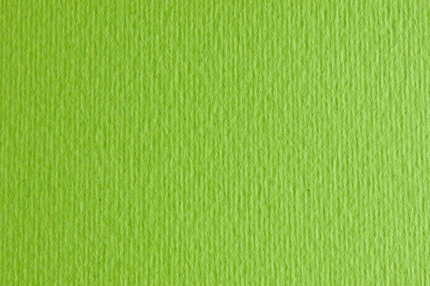 Бумага для дизайна Fabriano Elle Erre 220 г/кв. м А3 №10 Салатовый (71023010)