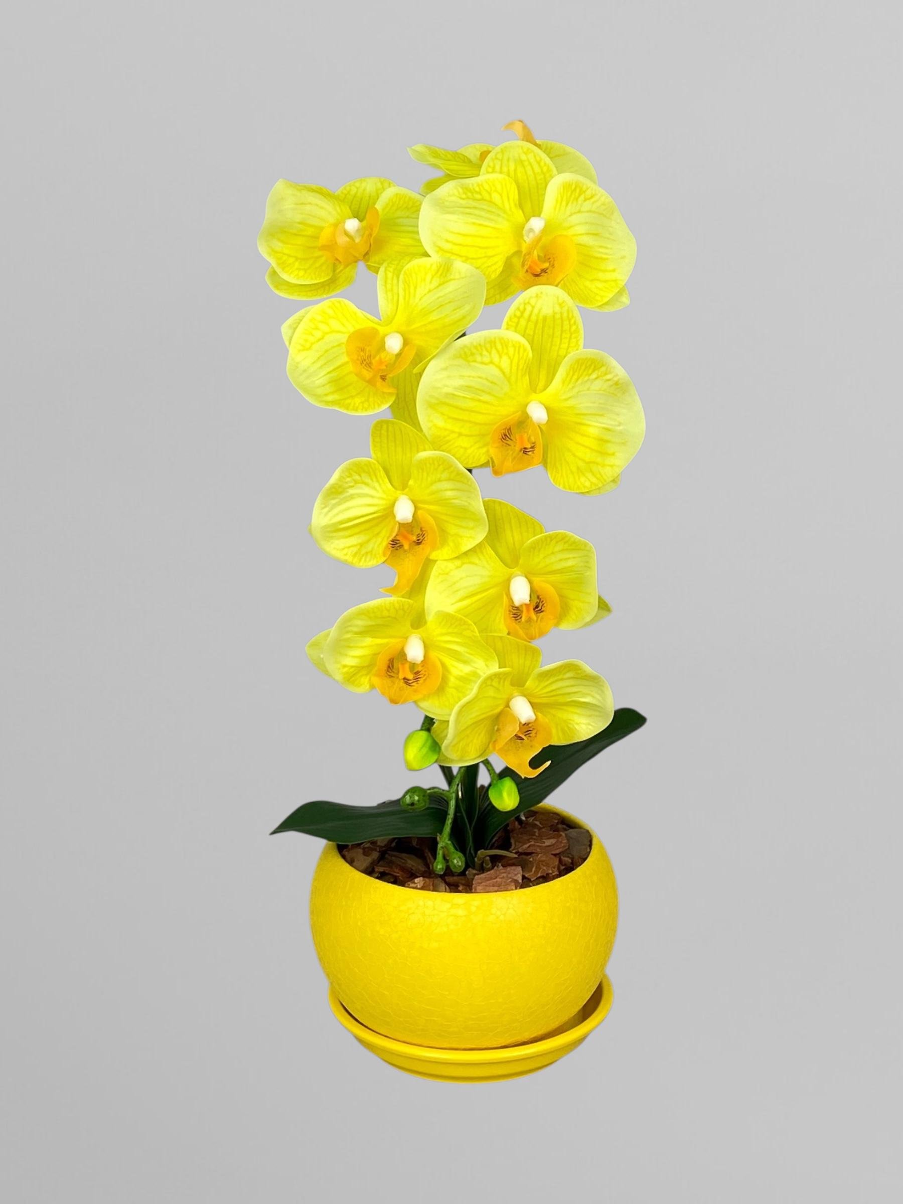 Композиция из латексных орхидей на 1 веточку в желтом керамическом кашпо 55 см Желтый (А282)