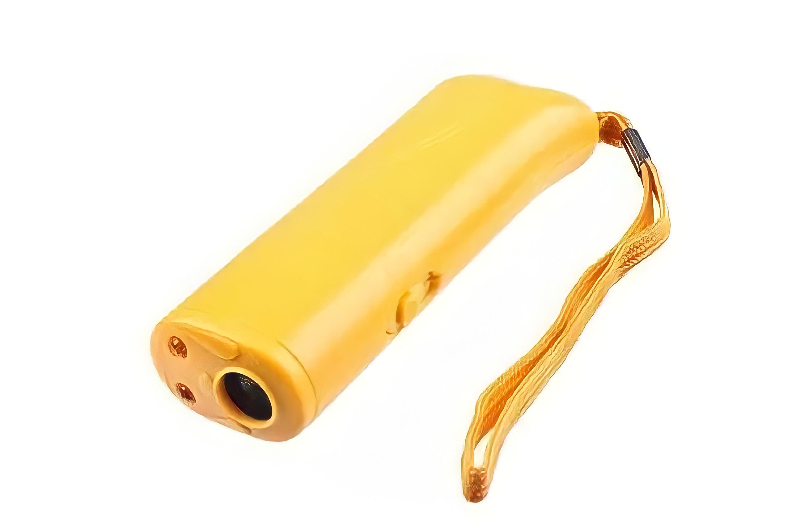 Мощный ультразвуковой отпугиватель собак ChanFang Professional AD-100 с фонариком и функцией обучение