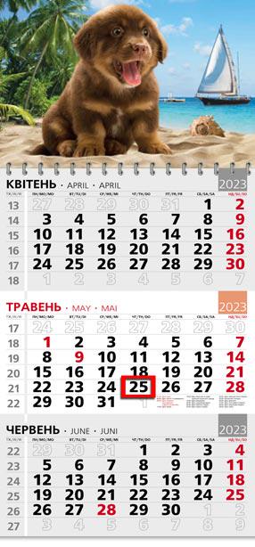 Календарь квартальный офисный 3 Щенок на пляже Календарь квартальный офисный 3 Щенок на пляже