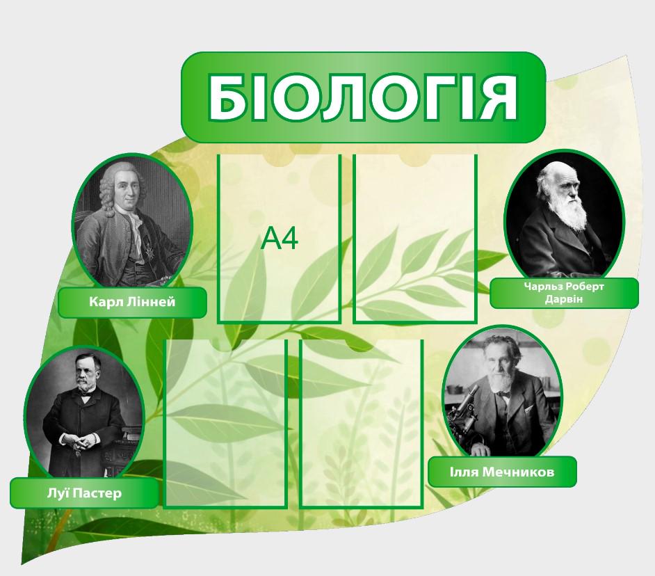 Стенд для навчальних закладів "Біологія" 1130х915 мм (КВ0003)