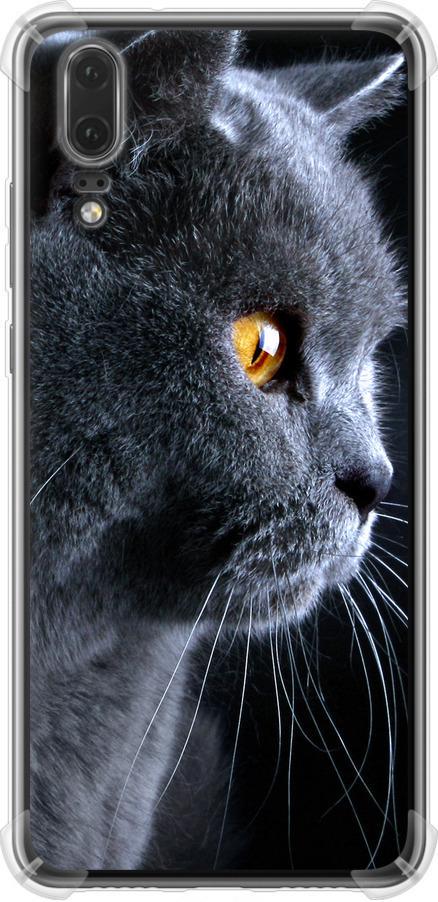 Чехол на Huawei P20 Красивый кот (3038sp-1396-42517)