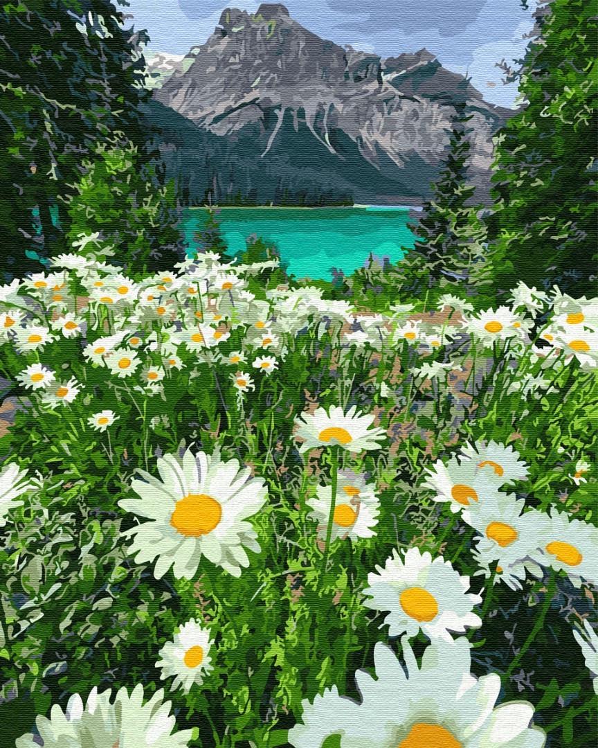 Картина по номерам Brushme PGX29451 Ромашки у гор 40х50 см (1398148037)