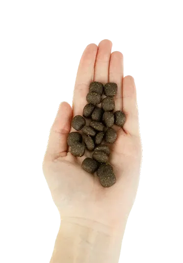 Корм сухий Lenda SALMON з лососем для дорослих собак усіх порід 2 кг (24054145) - фото 3