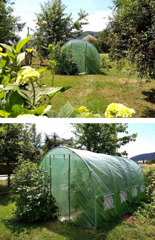 Теплица парник пленочная Garden Line TUN5606 10м2 с окнами 4х2,5х2 м Зеленый - фото 9 Теплица парник пленочная Garden Line TUN5606 10м2 с окнами 4х2,5х2 м Зеленый - фото 9