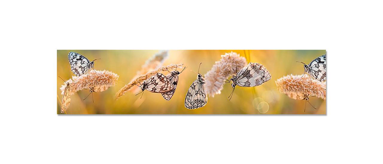 Кухонный фартук Бабочки и колоски из самоклеющейся виниловой пленки 60х250 см Бежевый Кухонный фартук Бабочки и колоски из самоклеющейся виниловой пленки 60х250 см Бежевый