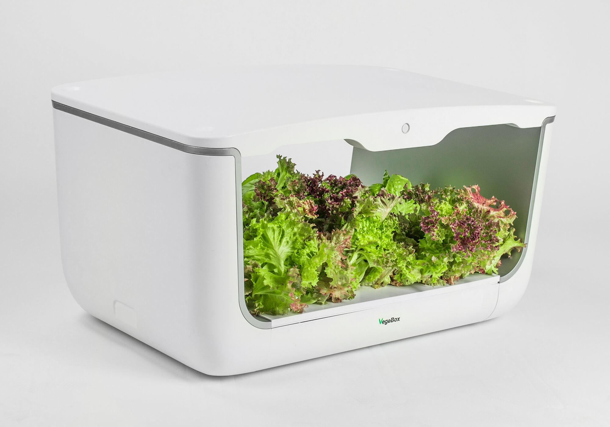 Сад критий гідропонний BioChef Vegebox Home - фото 11