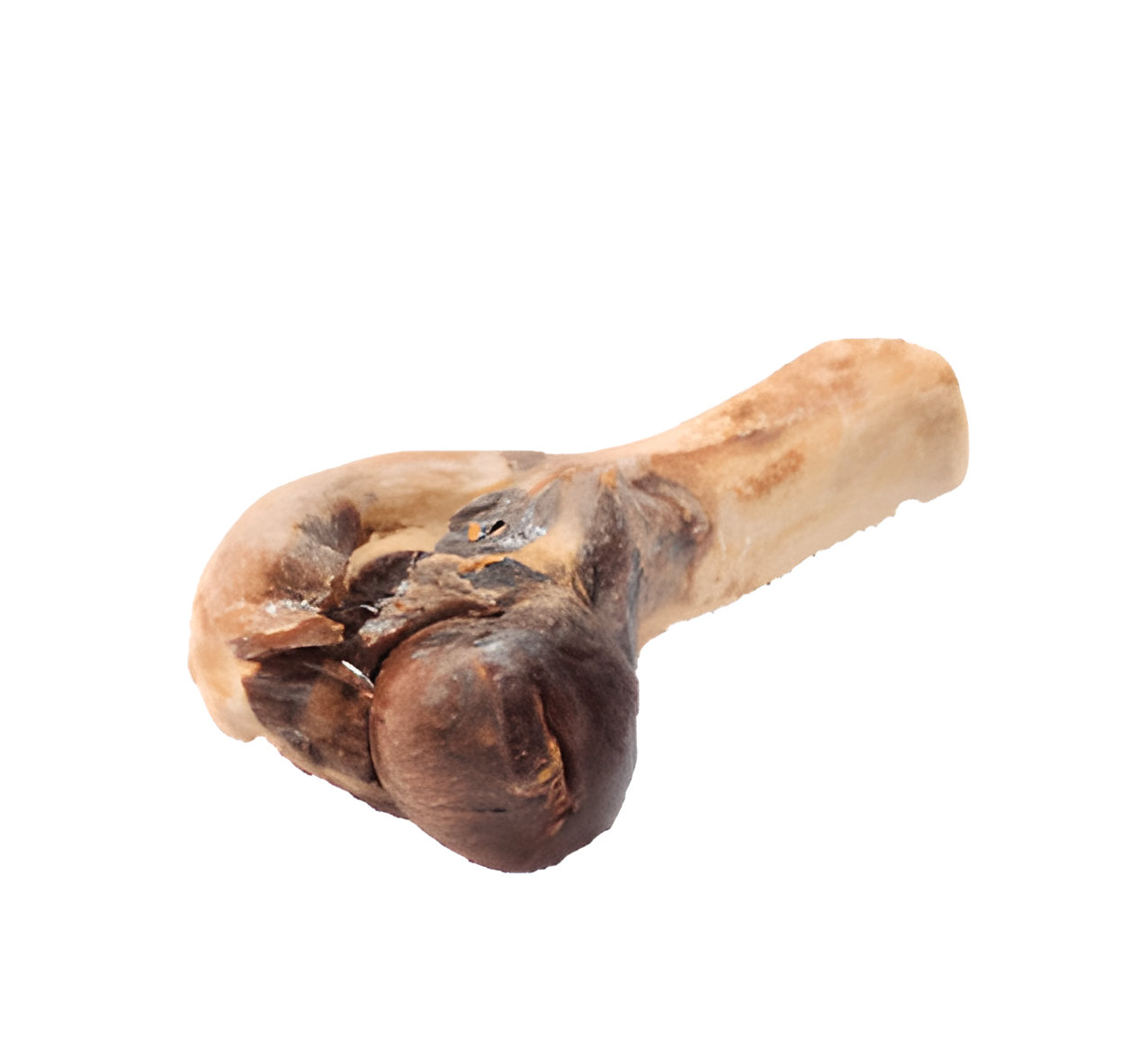 Натуральное лакомство для собак Alpha Spirit 
Ham Bone Half кость Халф половинка 16-17см (86244)