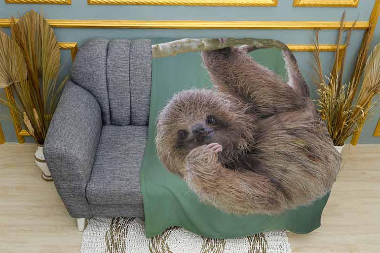 Плед Funny sloth плюш однослойный 135х150 см (113491)