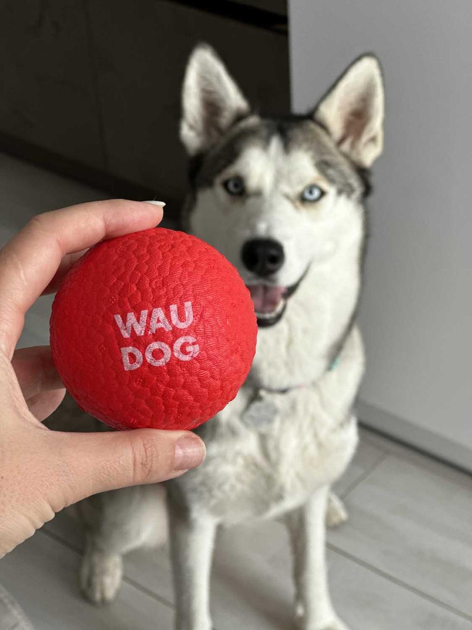 Іграшка для собак Waudog Fun Red Ball (6001) - фото 6 Іграшка для собак Waudog Fun Red Ball (6001) - фото 6