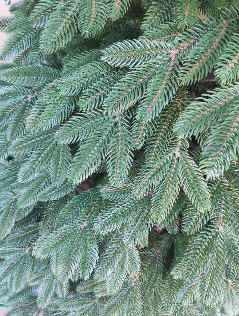 Ялинка лита Швейцарська штучна зелена 150 см з підставкою в коробці (26313373) - фото 3