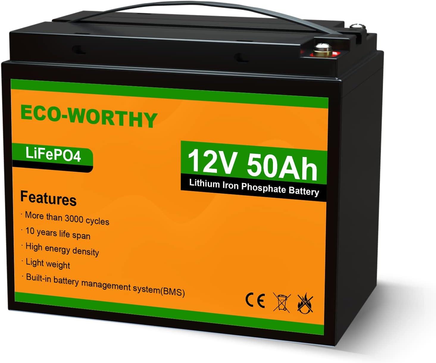 Акумулятор Eco Worthy LiFePO4 12V 50 Ah 640 Wh Чорний (000819)