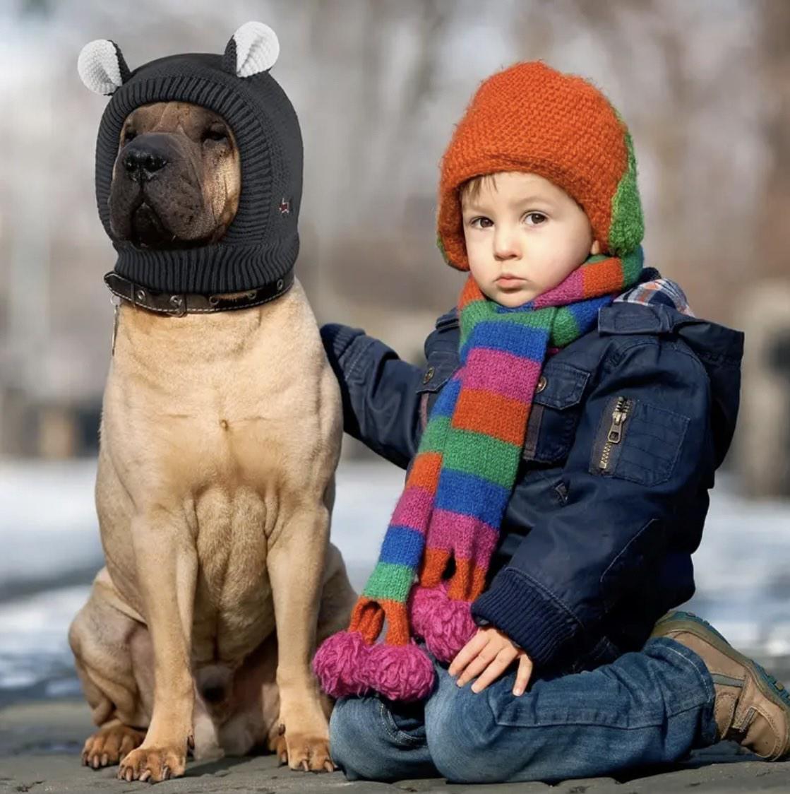 Шапка для собак FIXI S/M Черный (95858) - фото 6 Шапка для собак FIXI S/M Черный (95858) - фото 6