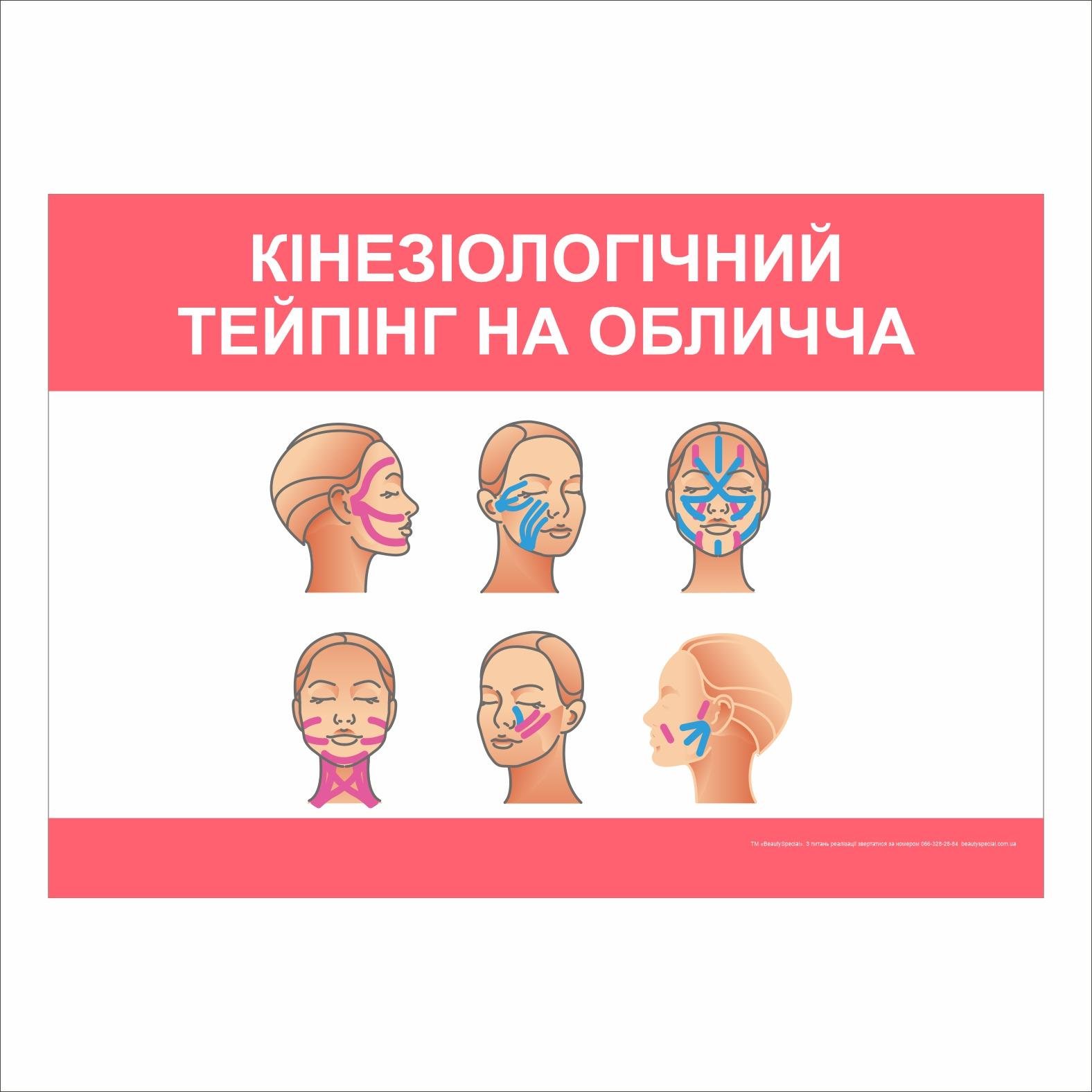 Плакат Vivay "Кинезиологический тейпинг на лицо" 30х40 см (25789697)