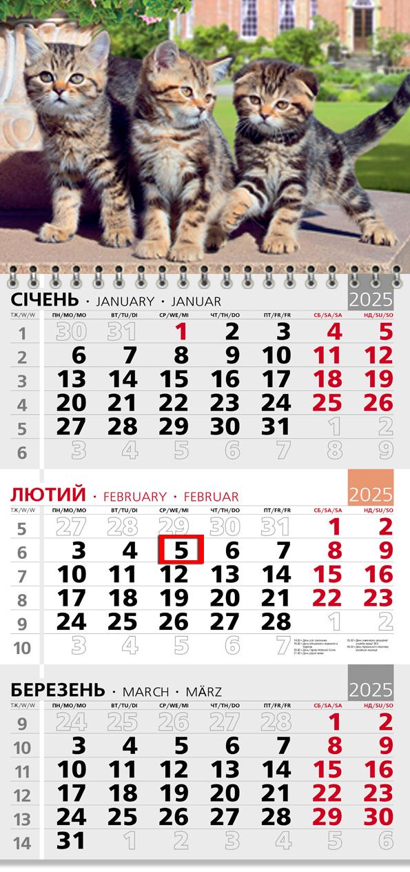 Календар на 2025 р. Офісний 3 Котяча тріада