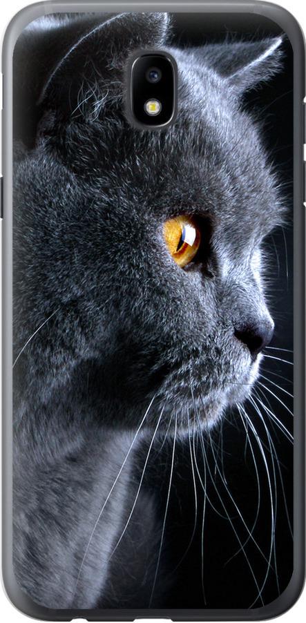Чехол на Samsung Galaxy J5 J530 (2017) Красивый кот (3038t-795-42517)