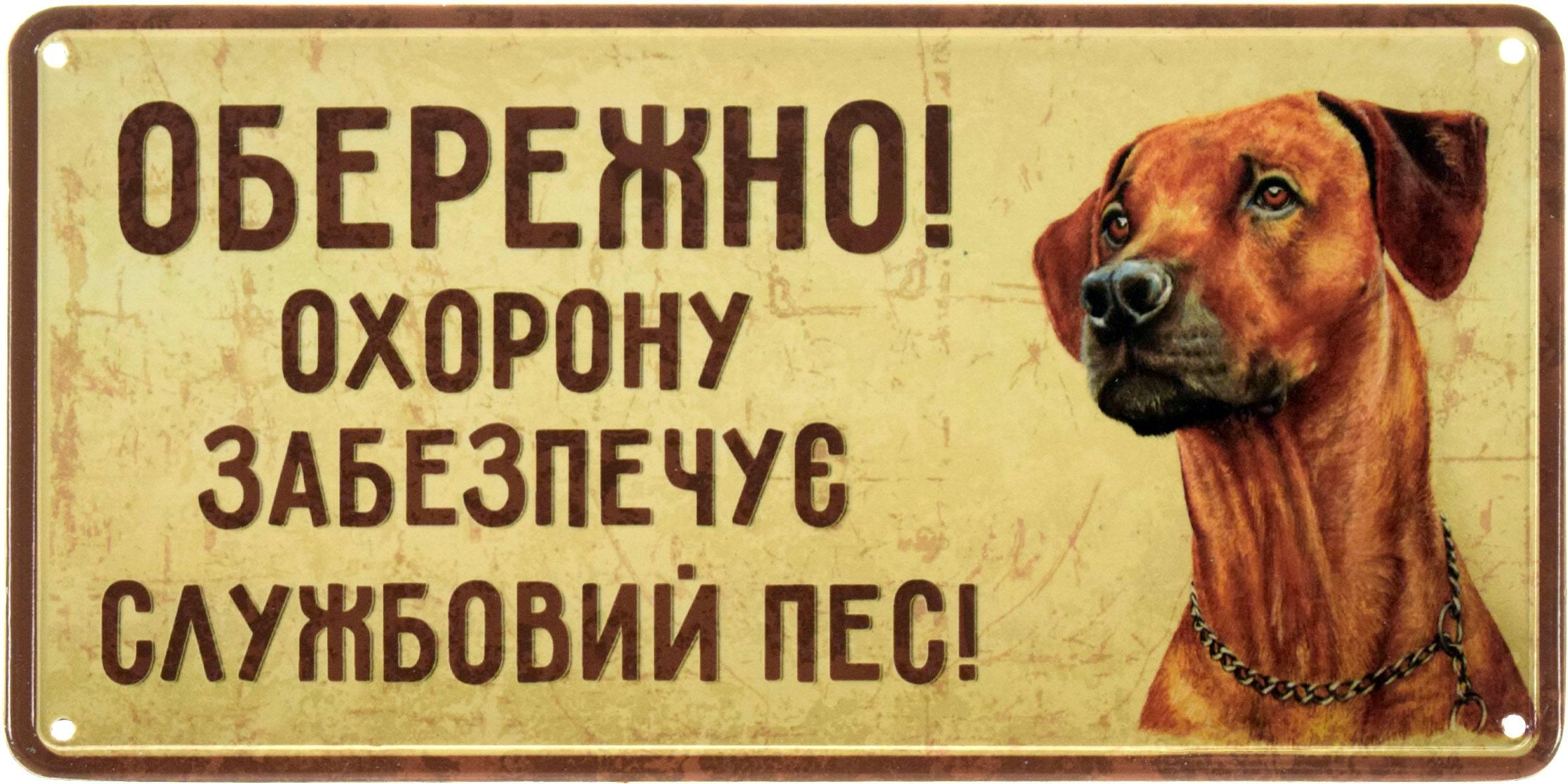 Табличка металева "Обережно! Охорону Забезпечує Службовий Пес! Ріджбек" 15x30 см