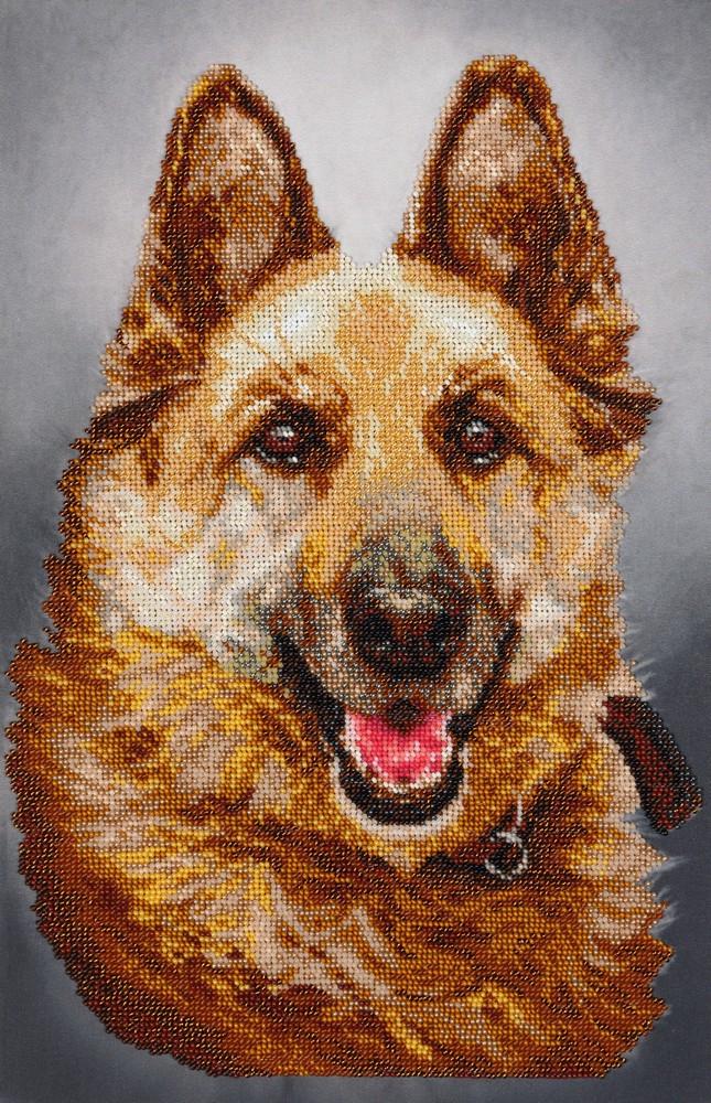 Вышивка бисером Верный друг немецкая овчарка 26,5x42 см (ТН-0010)