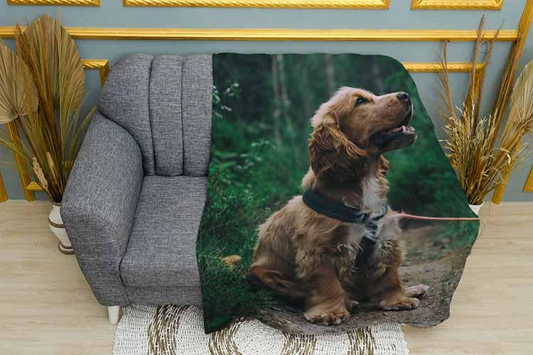 Плед Cocker spaniel in the forest плюш двошаровий 135х150 см (113456-2)