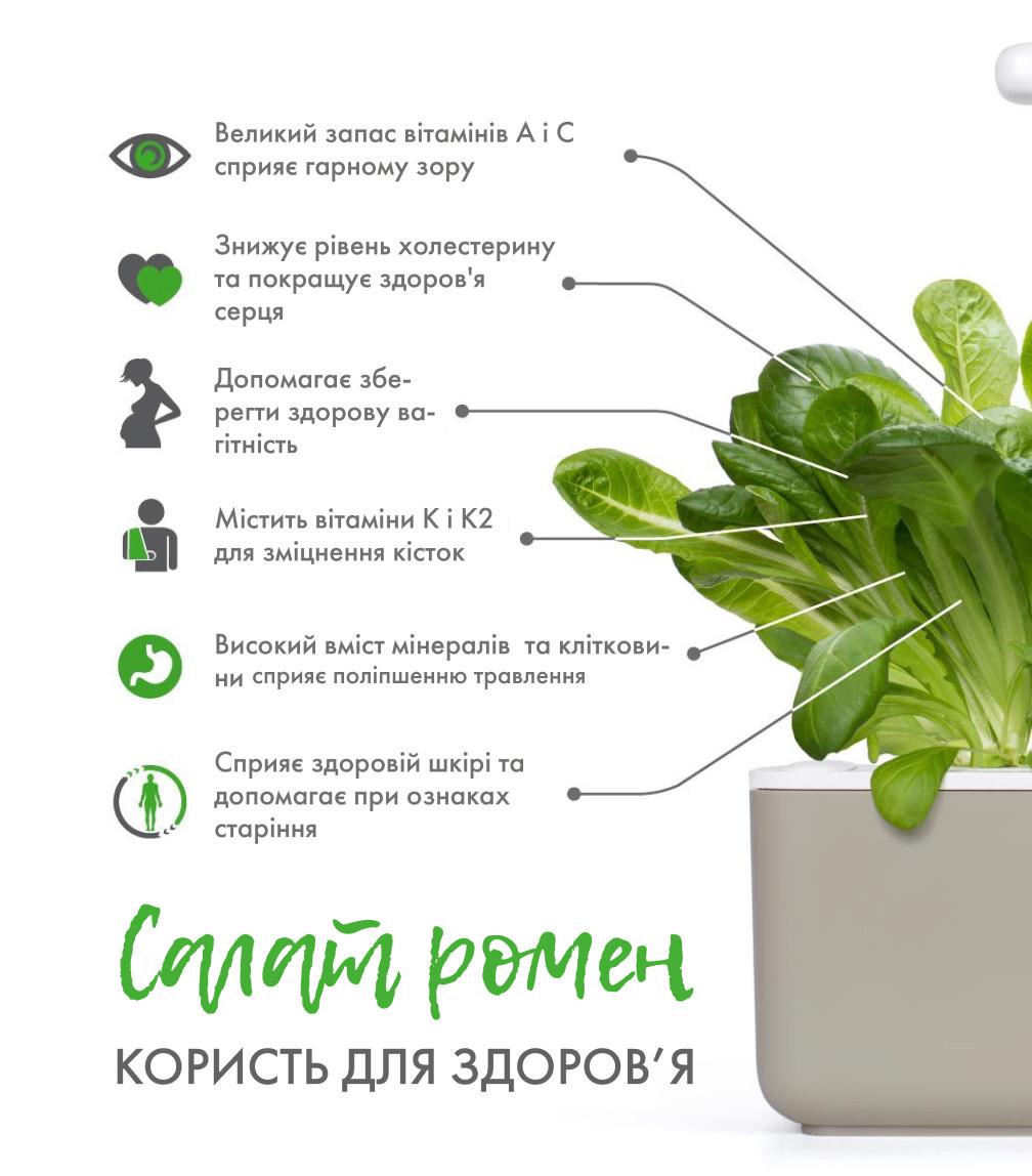 Картридж для умной фермы Click&Grow Салат Ромен (A-013936) - фото 9 Картридж для умной фермы Click&Grow Салат Ромен (A-013936) - фото 9