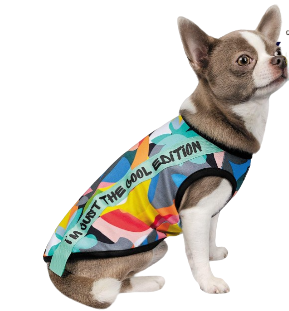 Борцовка Pet Fashion Cool М Разноцветный (PR242019)