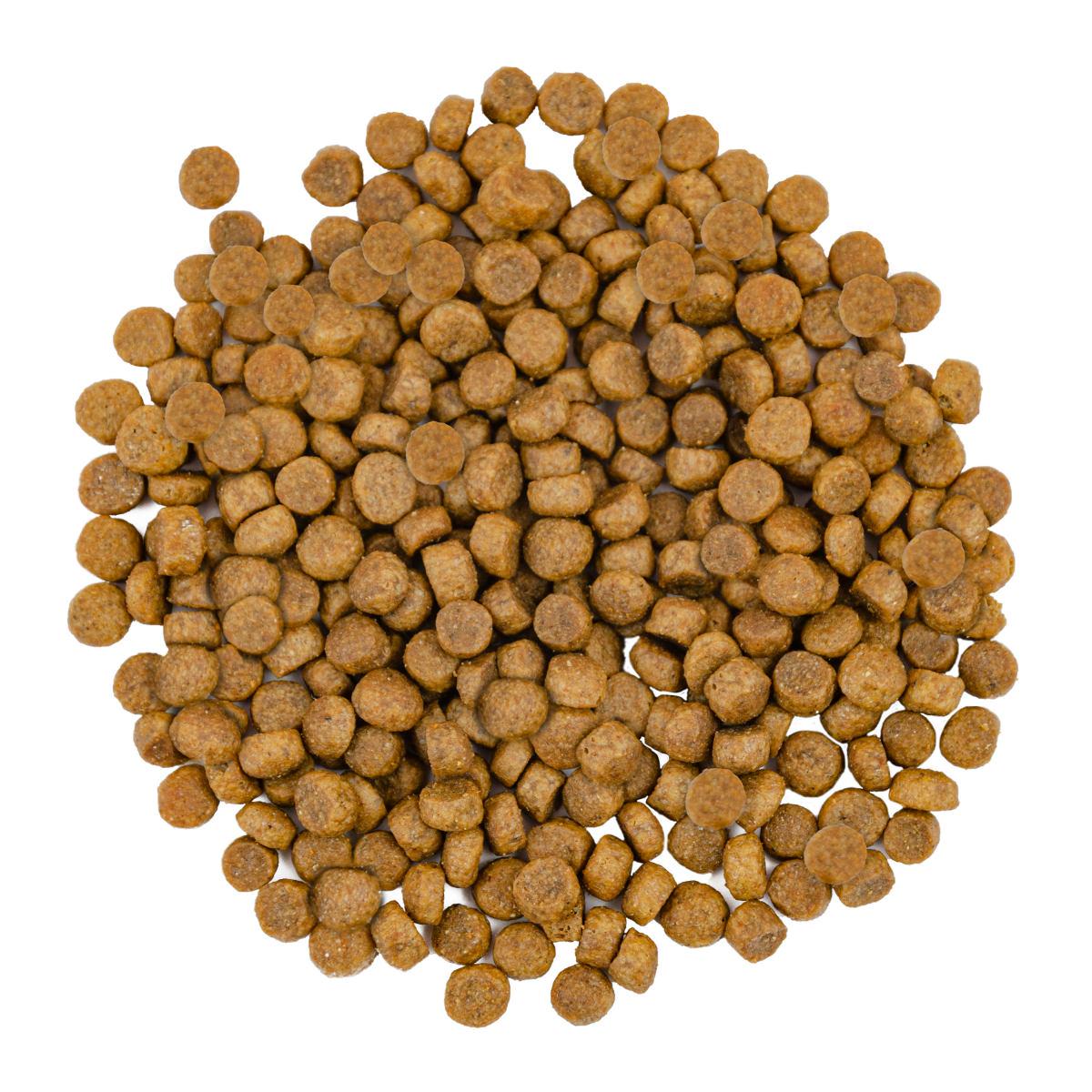 Корм для кішок з довгою шерстю Savory Gourmand Fresh Salmon & White Fish з лососем 8 кг (30037) - фото 3