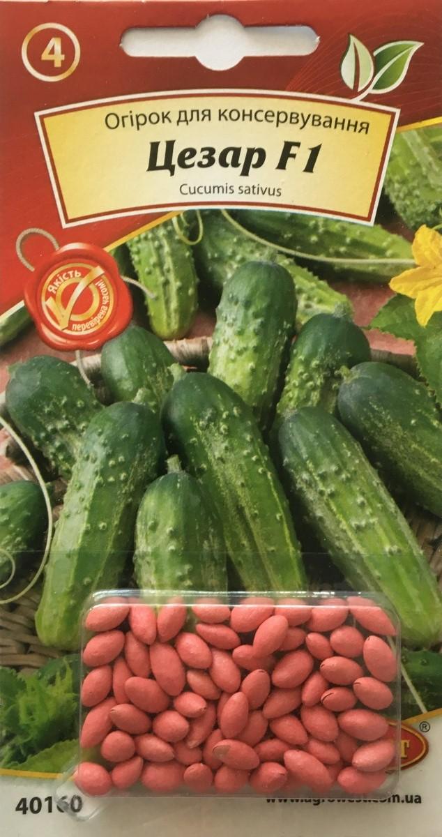 Насіння АгроВест огірок Цезар F1 драже 50 шт. (40160)
