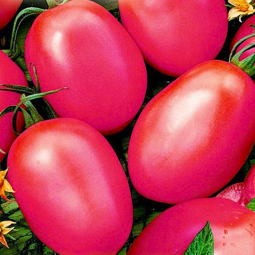 Семена Томат Florium Де-Барао Рожевий (8917)