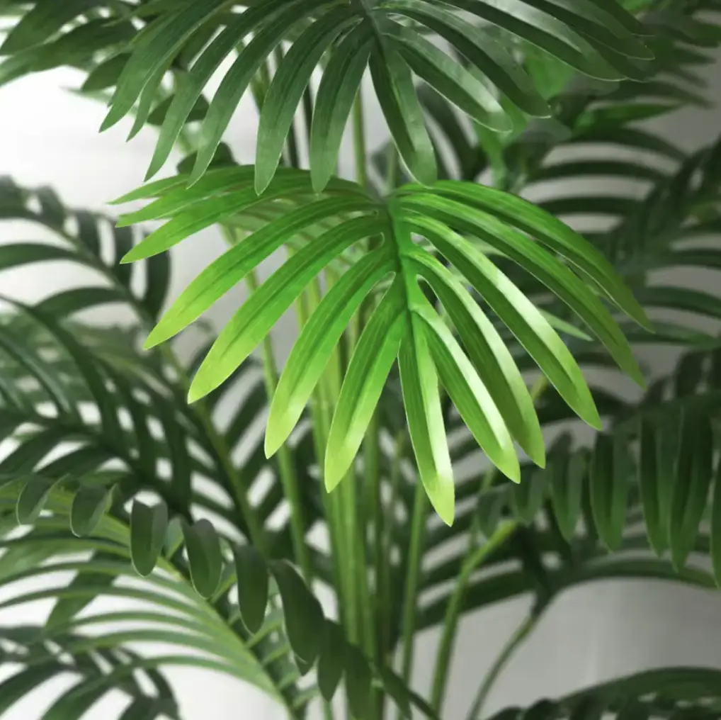 Пальма Баунті штучна без горщика 24 листа 90 см (MK001072) - фото 3 Пальма Баунті штучна без горщика 24 листа 90 см (MK001072) - фото 3